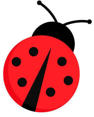 Ladybug or ladybird vector graphic illustration, isolated. Cute simple flat design of black and red lady beetle.